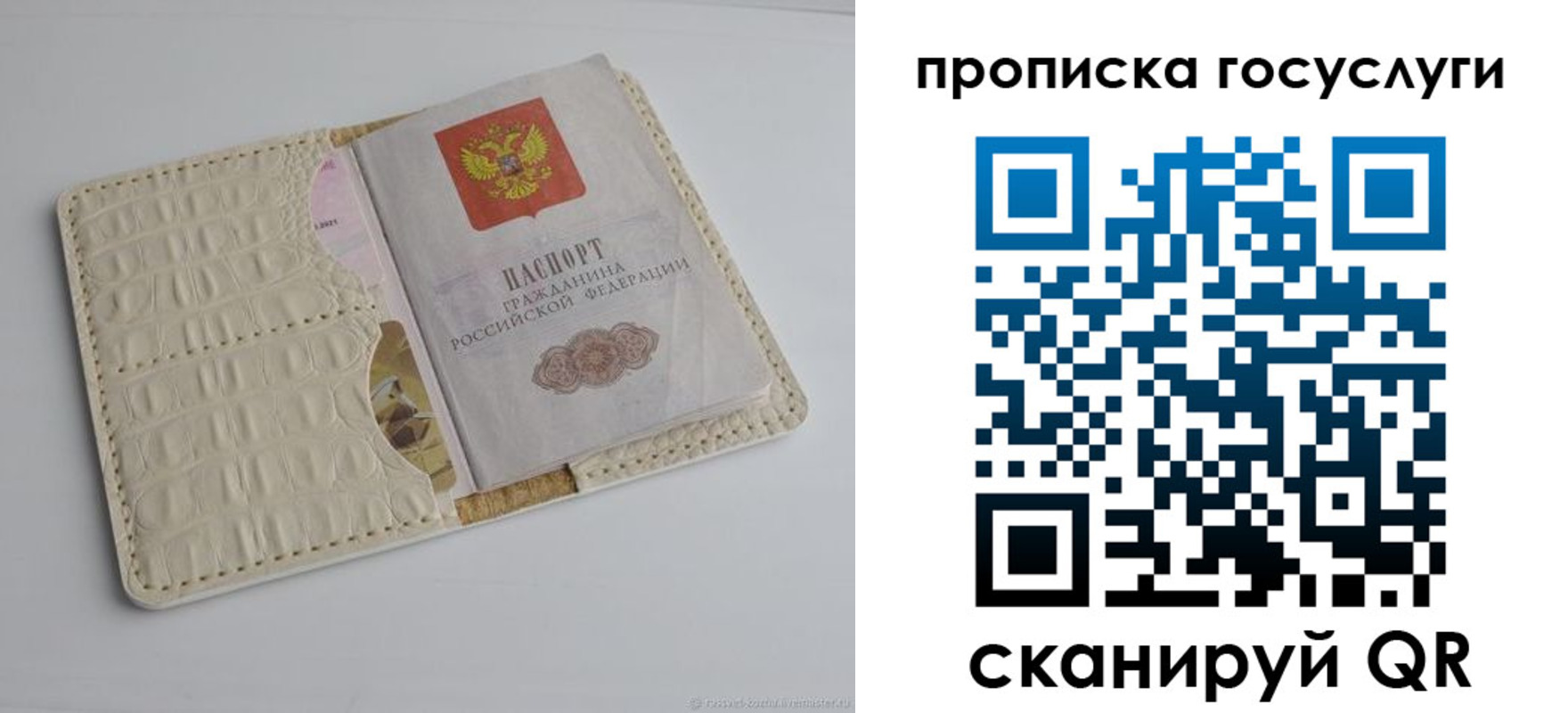 прописка в Краснодаре
